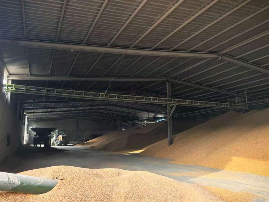 11月24日中卫粮油公司5#厂房02房地产网络拍卖公告