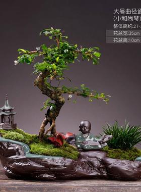 高档创意财树绿植客厅酒饰玄关家居饰发品办公桌面柜装富贵竹摆件