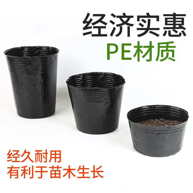 育苗加厚杯装杯袋土黑色花盆育苗营养盆塑料营养一次性育苗钵