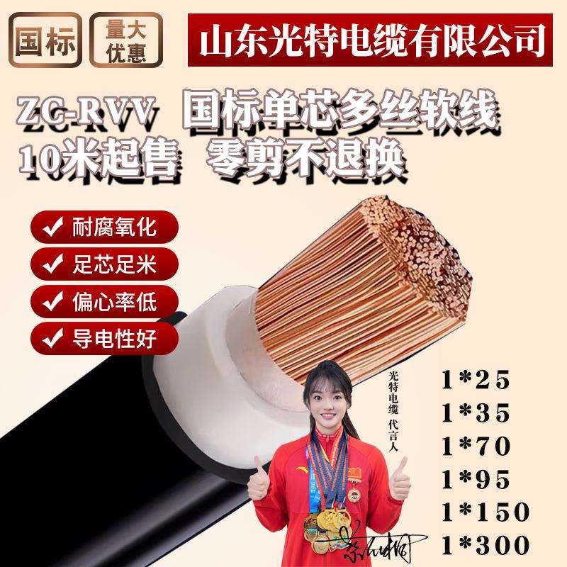 国标多股软线ZRC-RVV阻燃护套单芯铜丝电缆线16/25/240/95平方120图片