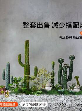 造景热带仿真仙人饰掌橱窗装摆件楼下植物栽景观球形室内大102346