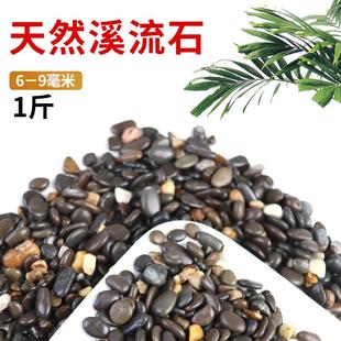 鱼缸造景溪流沙天然原生态溪流石种造景底砂装饰河沙石川藏砂