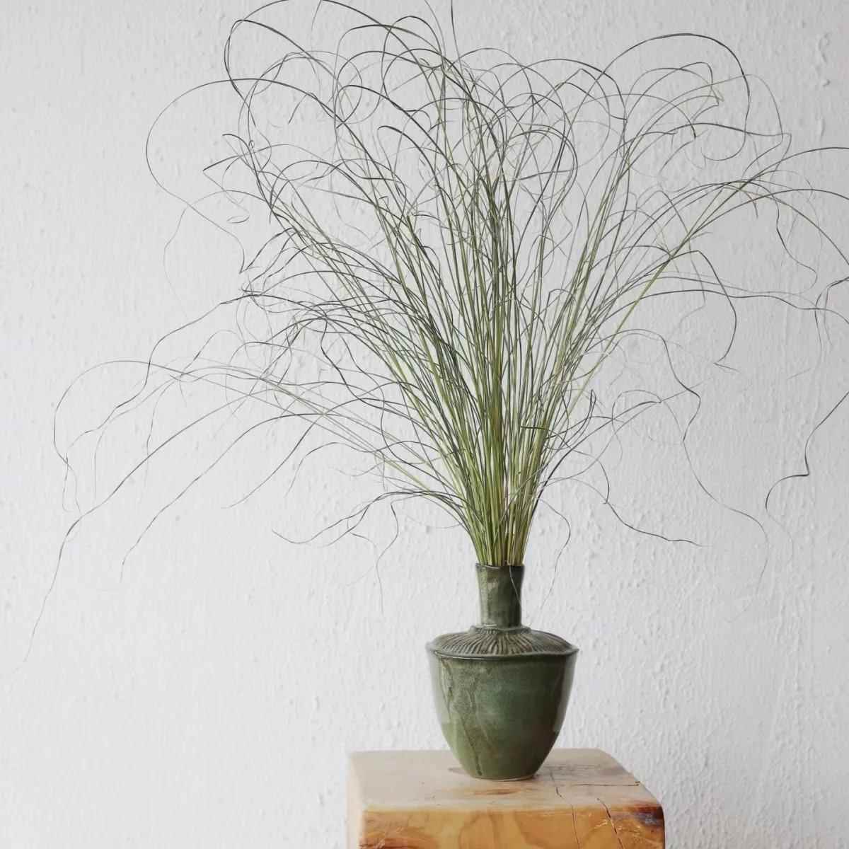 长枝仙女草细叶芒干 干燥花包花束小清新客厅装饰天然插花材料