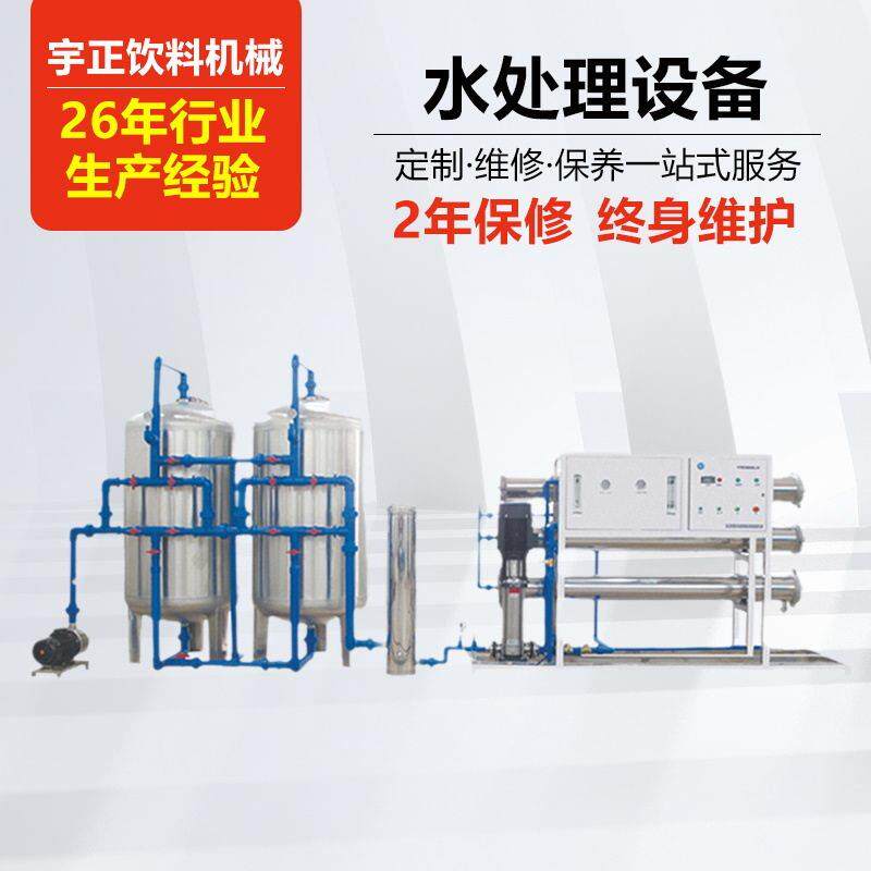 大型反渗透RO水处理设备工业纯水机去离子水净化过滤超滤食品直饮