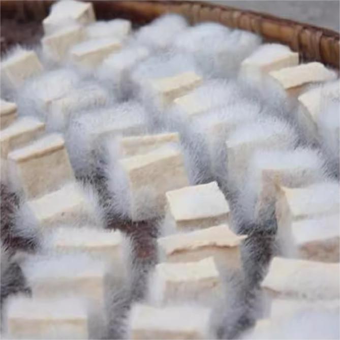 贵州毕节大方土特产风味霉豆腐农家臭豆腐乳自制素腐乳低油下饭菜