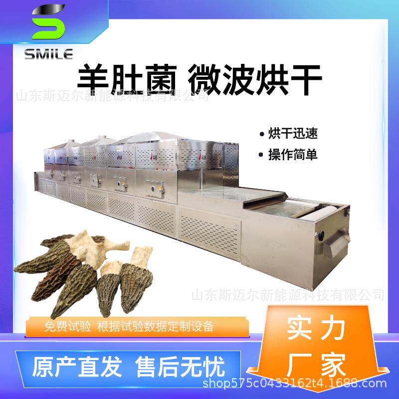 隧道式微波羊肚菌烘干脱水设备香菇烘干设备木耳干燥机