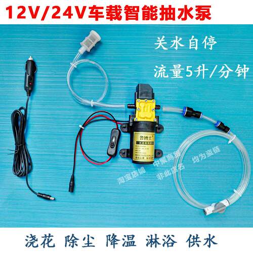 12V24V智能泵自吸泵抽水泵车载户外房车货车卡车降温喷淋浇花供水