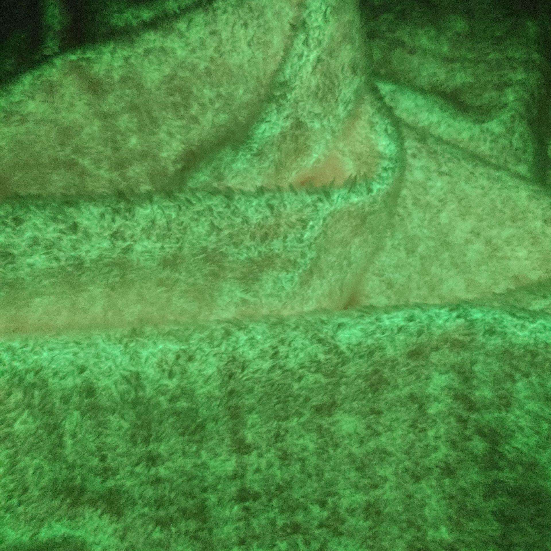 夜光大珍珠植绒布夜光布感光变色感温水晶超柔环保柔软暖绒