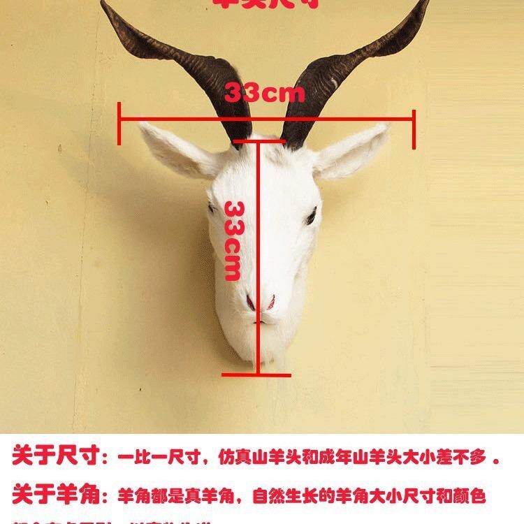 一比一仿真山羊头老虎头山羊羚羊狼头壁饰挂件客厅玄关装饰酒吧