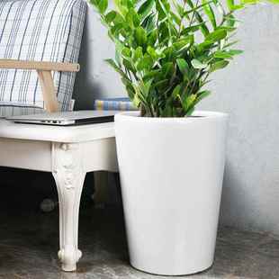 花盆陶瓷特大号种花白色家用简约客厅金钱树专用虎皮兰幸福树花瓶