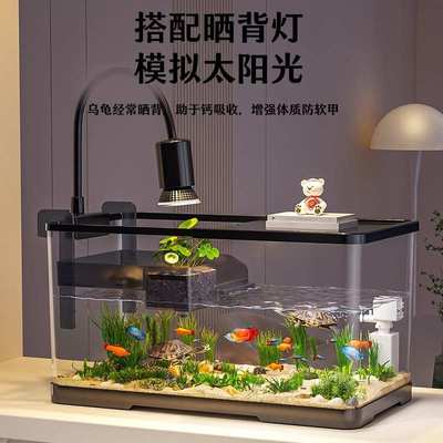 乌龟饲养缸小型乌龟专用缸家用客厅螃蟹生态缸鱼缸过滤制氧一体机