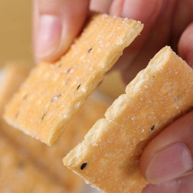 网红椰子味饼干整箱怀旧椰奶椰蓉长方形饼干老式早餐零食散装