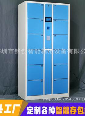 12门指纹密码手机存储柜超市商场智能储物柜寄包存包柜厂家收纳