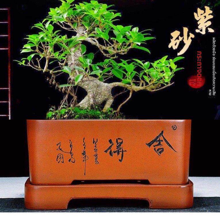 紫砂宜兴花盆口径长方形梅花老桩长方马槽盆景盆大号室内陶瓷盆栽