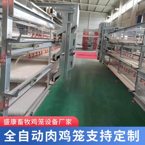 肉鸡笼镀锌丝全自动传送喂料清粪框架肉鸡笼养机械养殖设备肉鸡笼