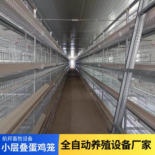 自动蛋鸡笼养殖小层叠全自动蛋鸡笼喂料鸡舍自动捡蛋集蛋鸡笼设备