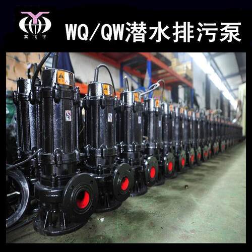 无20WQ600BMM-9-30KW潜塞水电泵排污泵 QW堵污水污物潜污泵提5升