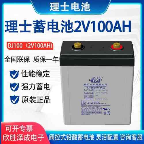 LEOCH理士蓄电池2V100AH阀控密封式铅酸免维护蓄电池UPS/EPS电源
