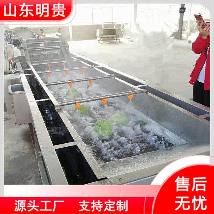 大白菜气泡清洗机 鼓泡式洗菜机器 蔬菜水果自动喷淋清洗机