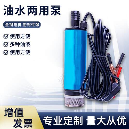 微型水泵12V家用潜水电动直流抽水泵不锈钢便捷式柴油抽油泵