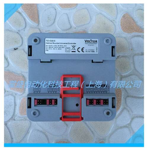 VECTOR伟拓 TCI-C24-0柜装式通用型PID控制器 冷热自动切换温控器