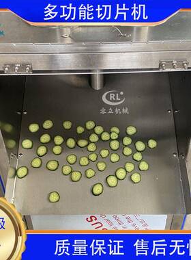 多功能四孔切片机不锈钢果蔬切片机圆葱土豆切片机果蔬脆片切片机