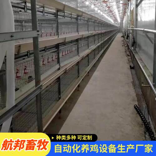 家用养殖设备肉鸡笼厂家供应镀锌肉鸡笼自动化输送带自动清粪机鸡