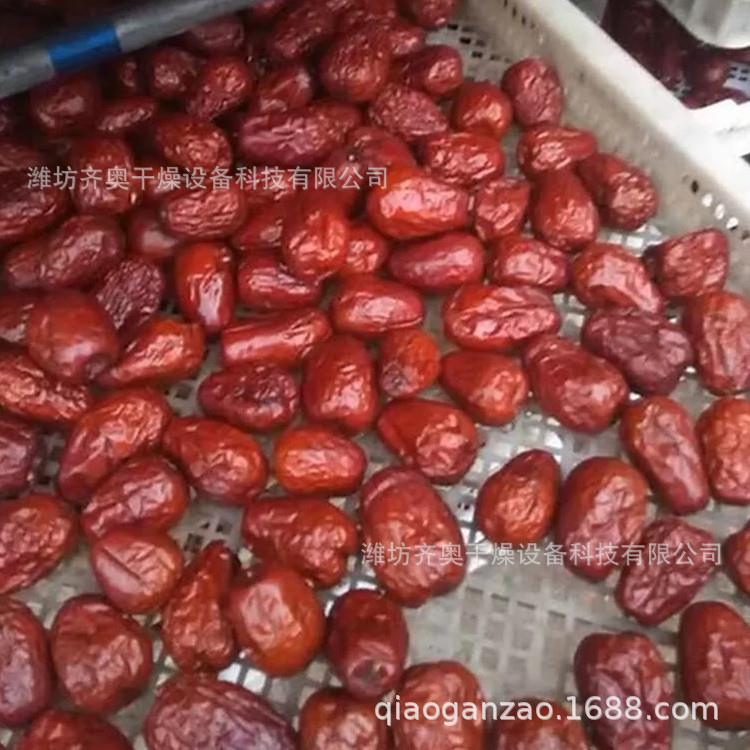 直销果蔬烘干设备 红枣烘干机 大枣烘干箱 蔬菜烘干房 食品烘干机