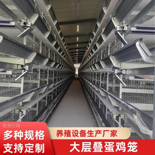 厂家供应全自动大层叠蛋鸡笼立式蛋鸡笼养鸡场养殖设备收蛋清粪