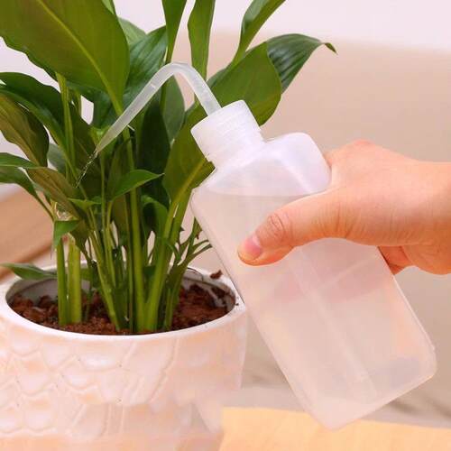 Bent nozzle household succulent plant watering bottle, spray