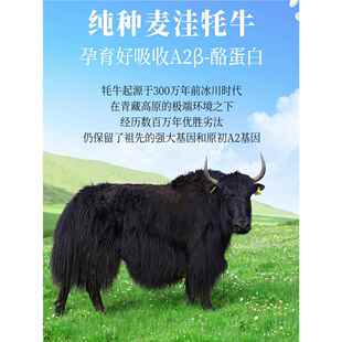 醇恩红原耗牛奶粉高原牧场儿童学生成人中老年营养早餐奶粉