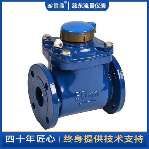 DN150铜罩款水平可拆水表 园林灌溉用水机械式水表