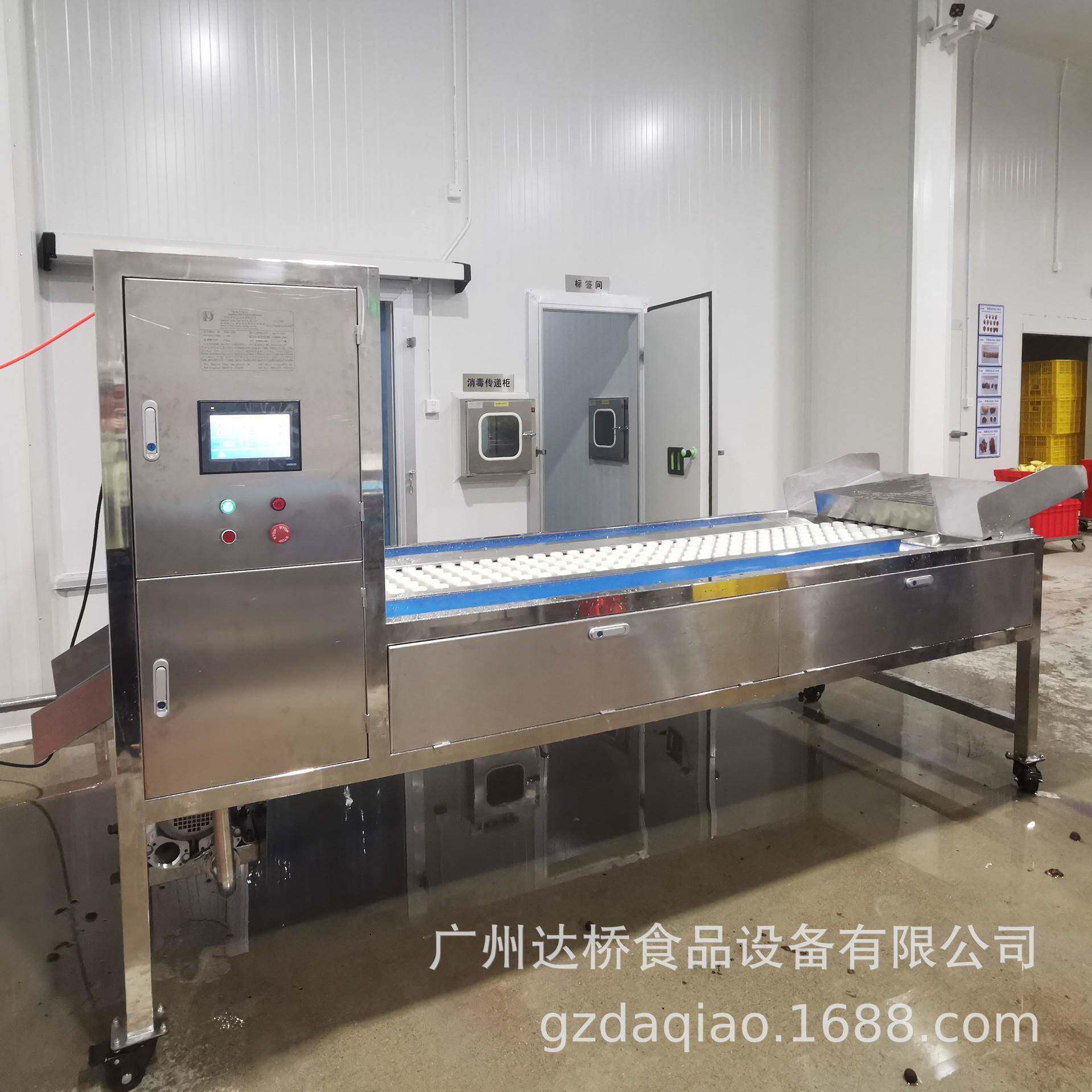 DQ达桥杨梅去核机捅核机工业自动化设备商用大产量果鲜切中房