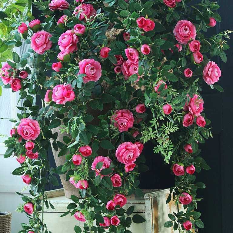 仿真牡丹花藤假花藤条藤蔓门头墙壁遮挡装饰拱门栅栏空调管玫瑰花,家居饰品,仿真花/假花,淘宝优惠券,粉丝福利购,淘宝优惠卷