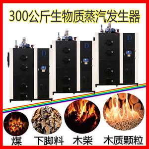 燃生物质蒸汽锅炉生物质锅炉蒸汽锅炉水暖养殖大棚供暖锅炉