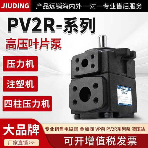 PV2R1高压叶片泵PV2R2定量液压帮浦总成PV2R3/4液压油泵压头配件