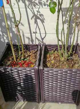 阳台种菜深花盆楼顶专用葡萄蔷薇月季花箱花槽大号果树盆种植箱