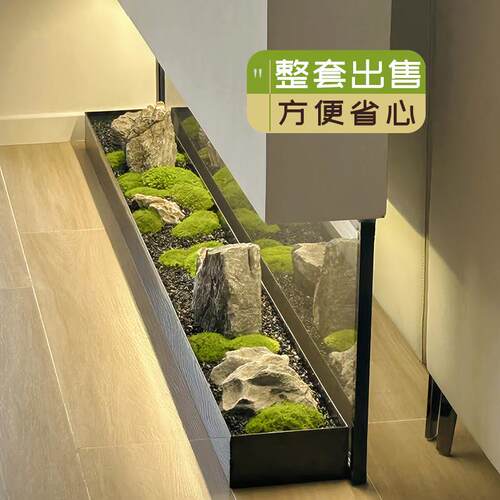 高端彷真绿色植物轻奢小型玄关地台造景组合苔藓花店展厅大型室内