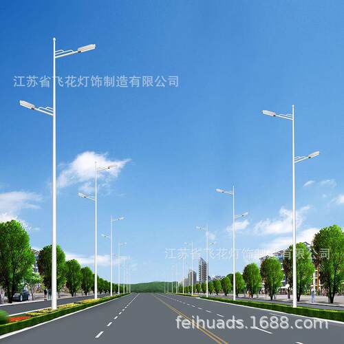 家臂热镀锌喷塑灯杆 LD太阳厂能户外E园林小区市电8米单068灯杆