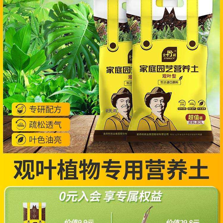 观叶型绿植营养土室内盆栽植物通用型土壤盆景种绿植土