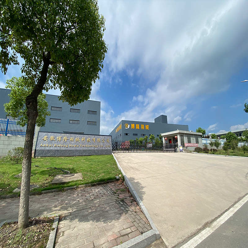 2021标90纯白鸭绒无异味90羽绒大朵水洗羽绒羽毛生产厂家供应批发