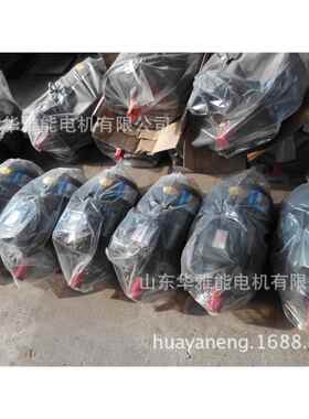 大兴JHM电机JHM-160M2-2-15KW电机V6安装向作标识不喷漆注意外观