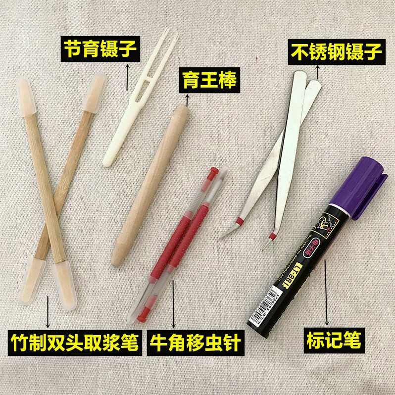 蜜蜂育王工具大全中蜂专用人工培育蜂王育王框王台基王棒养蜂大全