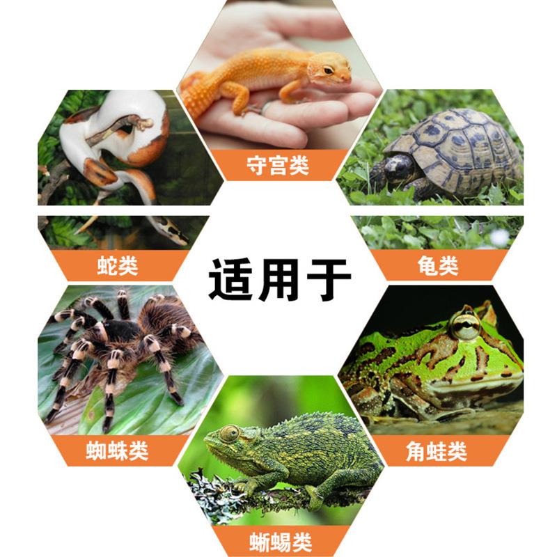 NC亚克力爬虫饲养盒爬虫箱透明蜘蛛蜥蜴爬宠盒乌龟蛇透明饲养盒子