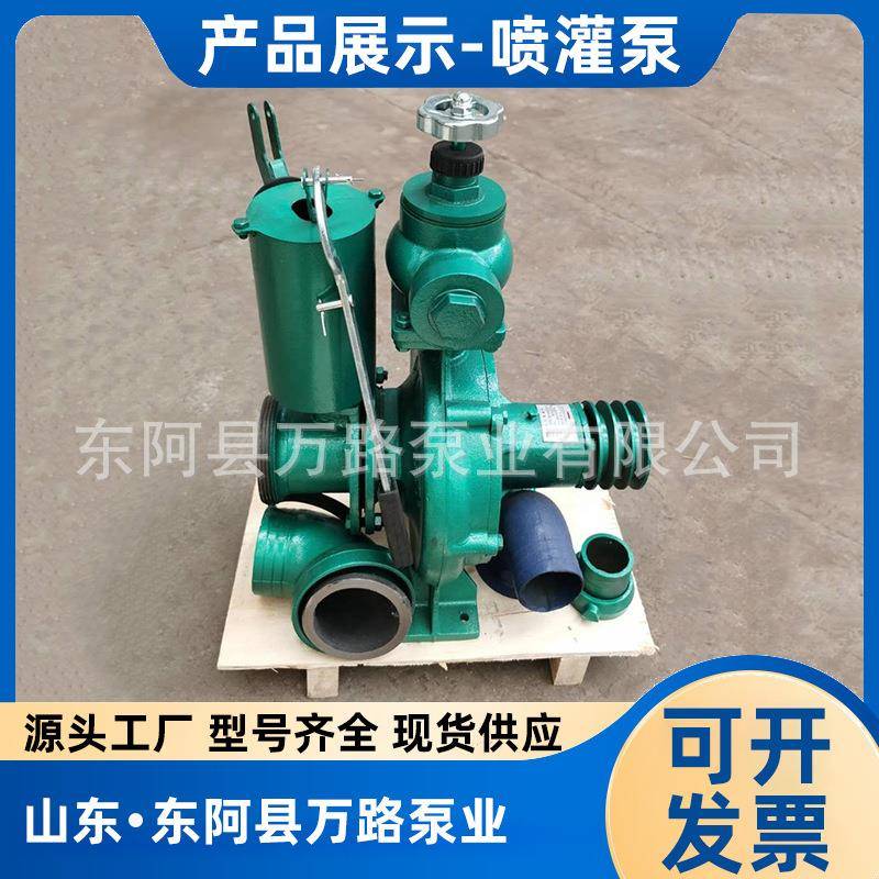 离心喷灌泵3寸压力井泵种植果园灌溉水泵小型高扬程抽水泵
