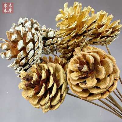 松果干花圣诞复古禅意家居装饰花环手工艺品花束材料婚庆拍照道具