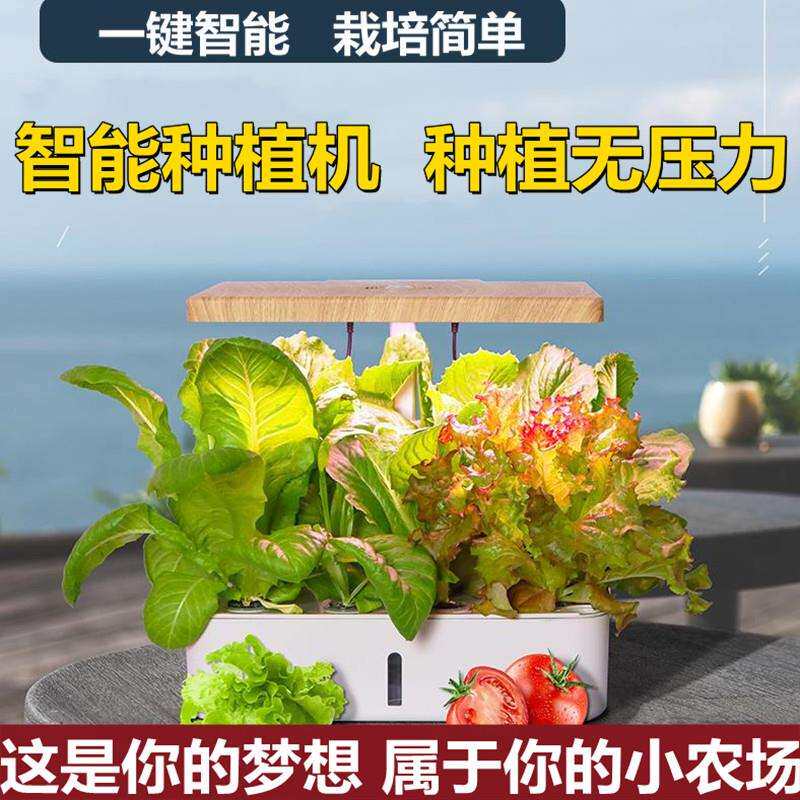 种菜机种菜无土栽培蔬菜水培育苗花卉家庭种植袋种植槽