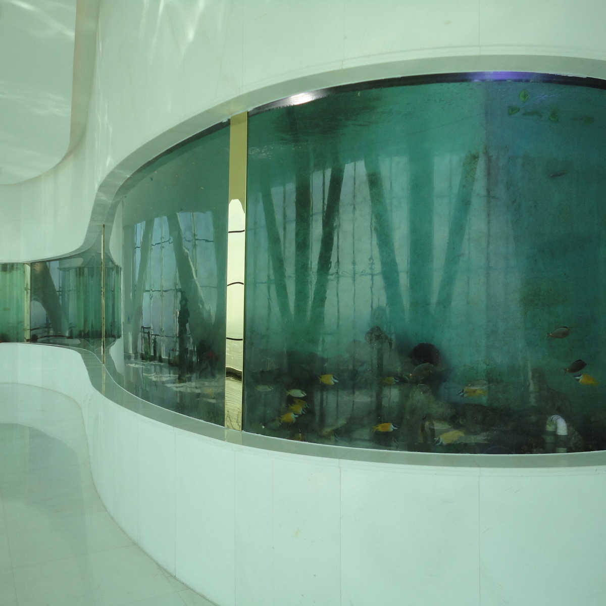 力工程设计鱼缸】亚克亚克景观鱼缸力海洋馆【大型