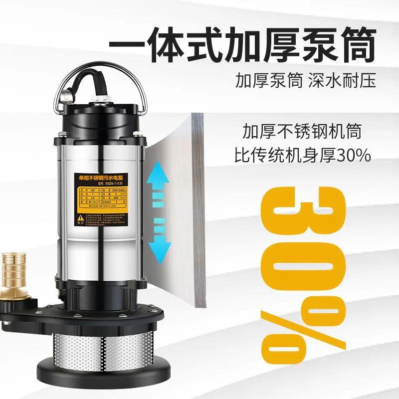 水潜水2DQZ20v不锈钢家用高扬程小型泵抽机溉抽水泵农用灌污水泵