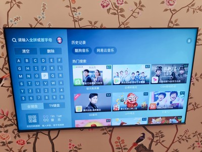 高人气款：海信HZ65E7D与TCL65v2哪款好点？都有声控功能吗